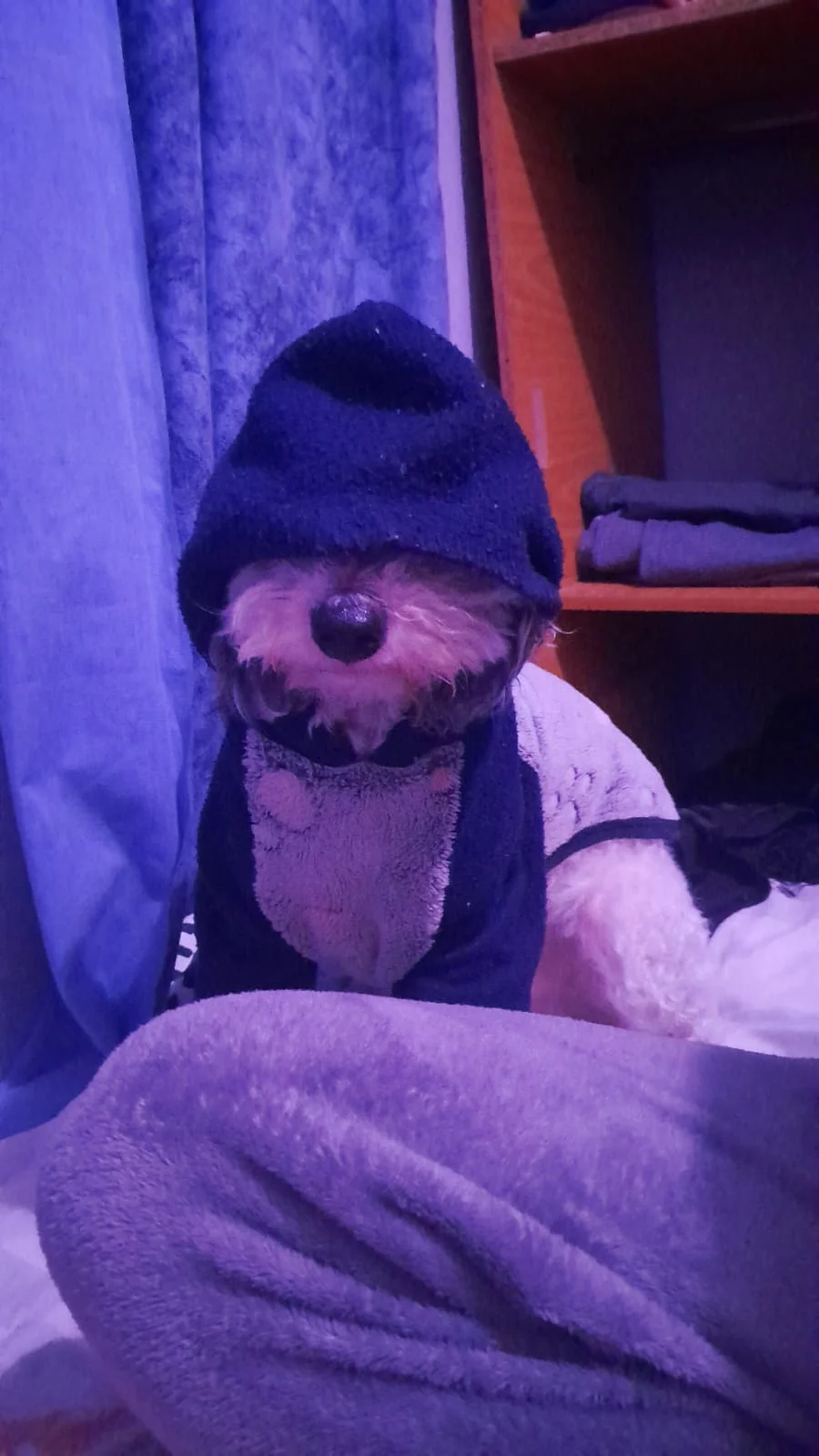 what are u hiding, ody?