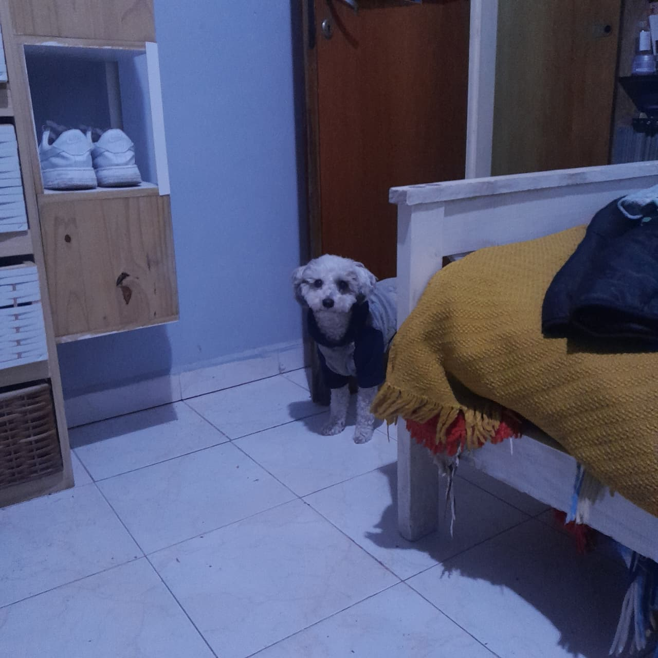 ody is missing mayra